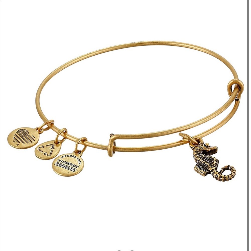 Alex and ani bracelet